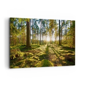 Cuadro sobre lienzo - Impresión de Imagen - Bosque verde iluminado por la luz del sol sobre el musgo. - 100x70cm - ...Más allá de los siete bosques - Decoración de pared moderna para salón y dormitorio ARTTOR