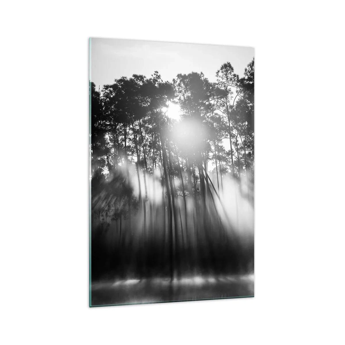 Cuadro sobre vidrio - Impresiones sobre Vidrio - Bosque blanco y negro en la niebla de la mañana. - 70x100cm - Sol imparable - Decoración de pared moderna para salón y dormitorio ARTTOR