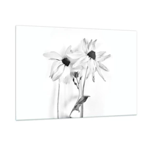 Cuadro sobre vidrio - Impresiones sobre Vidrio - Flores en blanco y negro en estilo minimalista. - 120x80cm - Nadie quiere estar solo - Decoración de pared moderna para salón y dormitorio ARTTOR