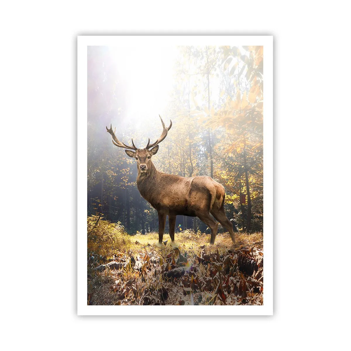 Póster - Con toda la majestuosidad - 70x100 cm