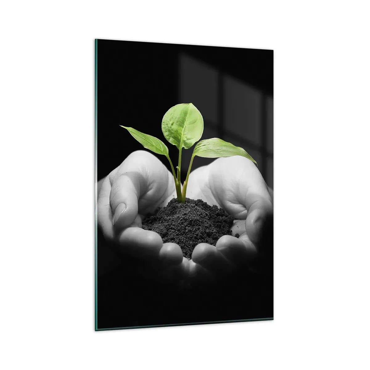 Cuadro sobre vidrio - Impresiones sobre Vidrio - Manos sosteniendo una planta verde sobre un fondo negro - 80x120cm - Amo la naturaleza, la protejo - Decoración de pared moderna para salón y dormitorio ARTTOR