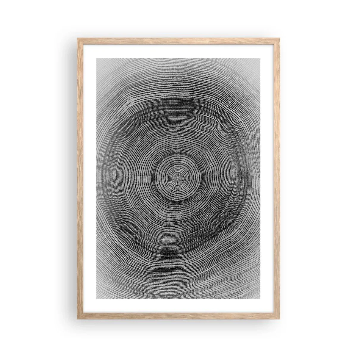 Póster en marco roble claro - El paso del tiempo - 50x70 cm