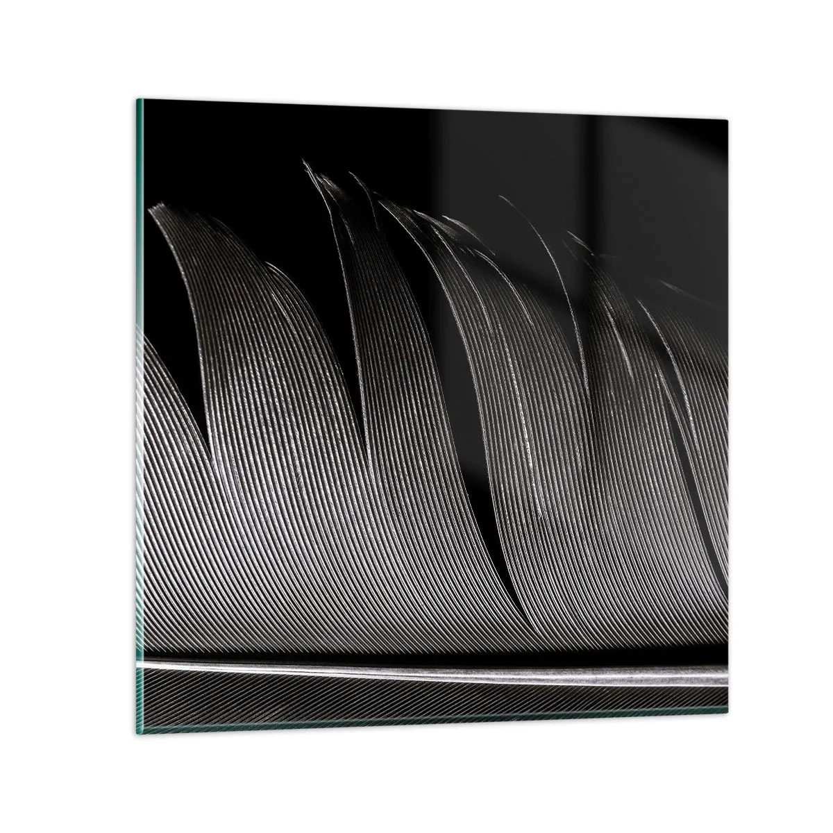 Cuadro sobre vidrio - Impresiones sobre Vidrio - Pluma - una construcción maravillosa - 40x40 cm