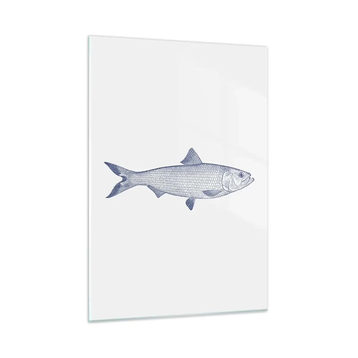 Cuadro sobre vidrio - Impresiones sobre Vidrio - Boceto de pez de estilo vintage sobre un fondo claro - 50x70cm - Saludos desde los mares del norte - Decoración de pared moderna para salón y dormitorio ARTTOR
