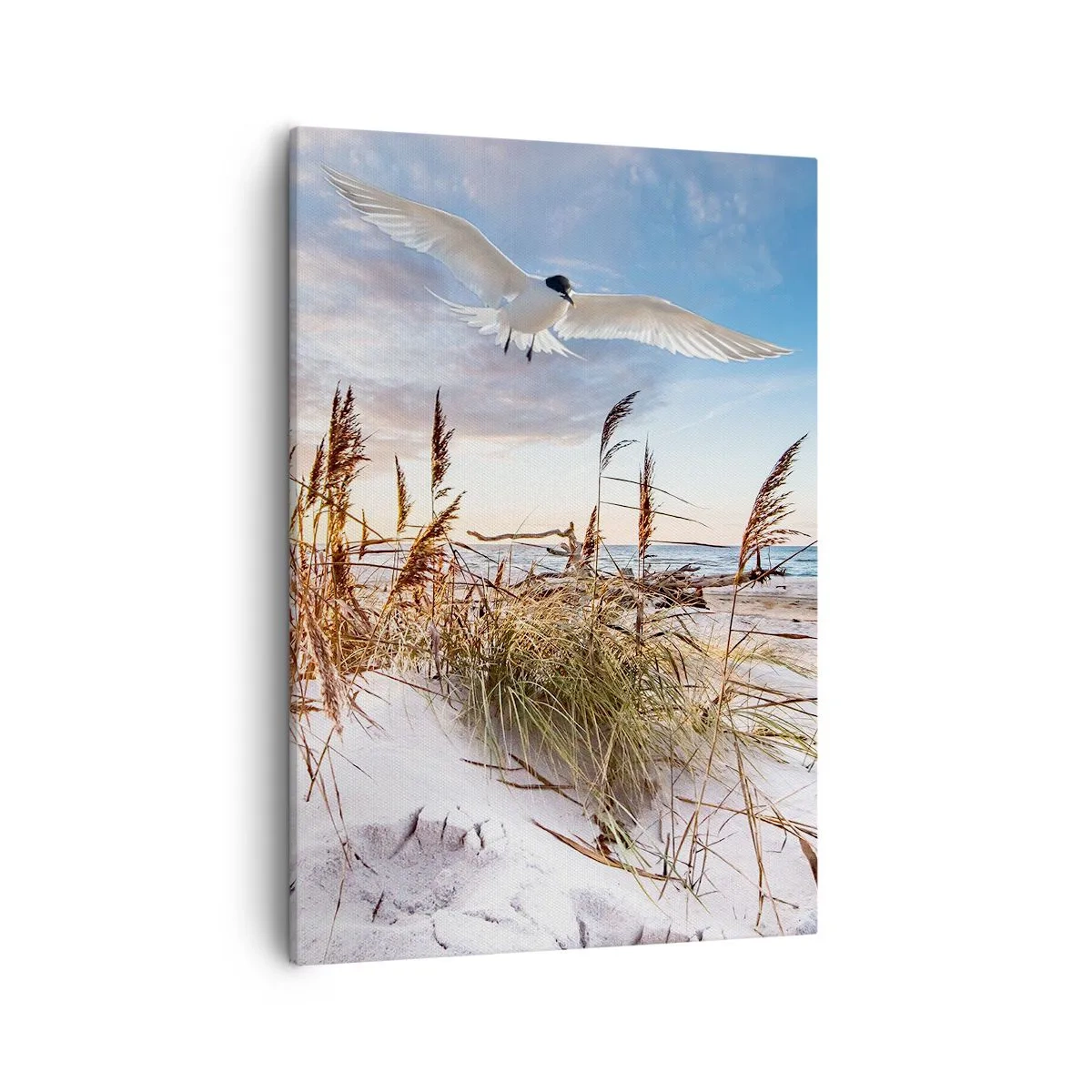 Cuadro sobre lienzo - Impresión de Imagen - Playa con gaviotas volando al atardecer - 50x70cm - Viento del mar - Decoración de pared moderna para salón y dormitorio ARTTOR
