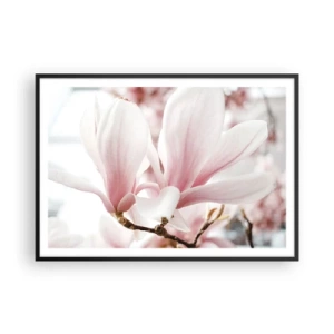 Póster en marco negro - Delicadas flores de magnolia en tonos pastel. - 100x70cm - Inmensidad de la ternura - Decoración de pared moderna para salón y dormitorio ARTTOR