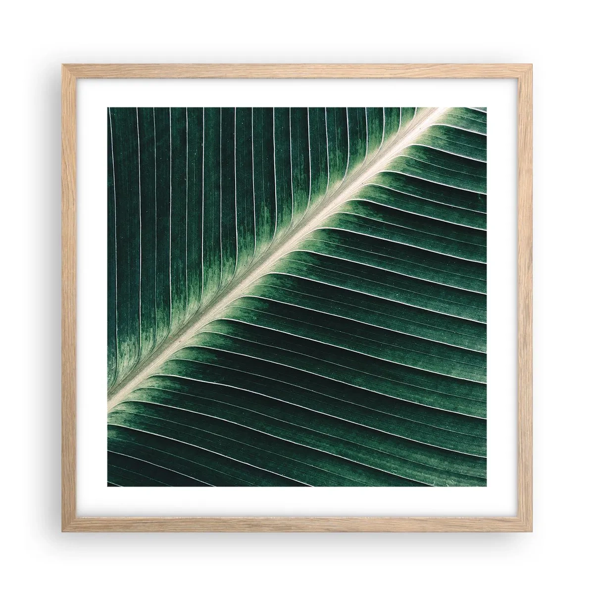 Póster en marco roble claro - El ritmo de la naturaleza - 50x50 cm