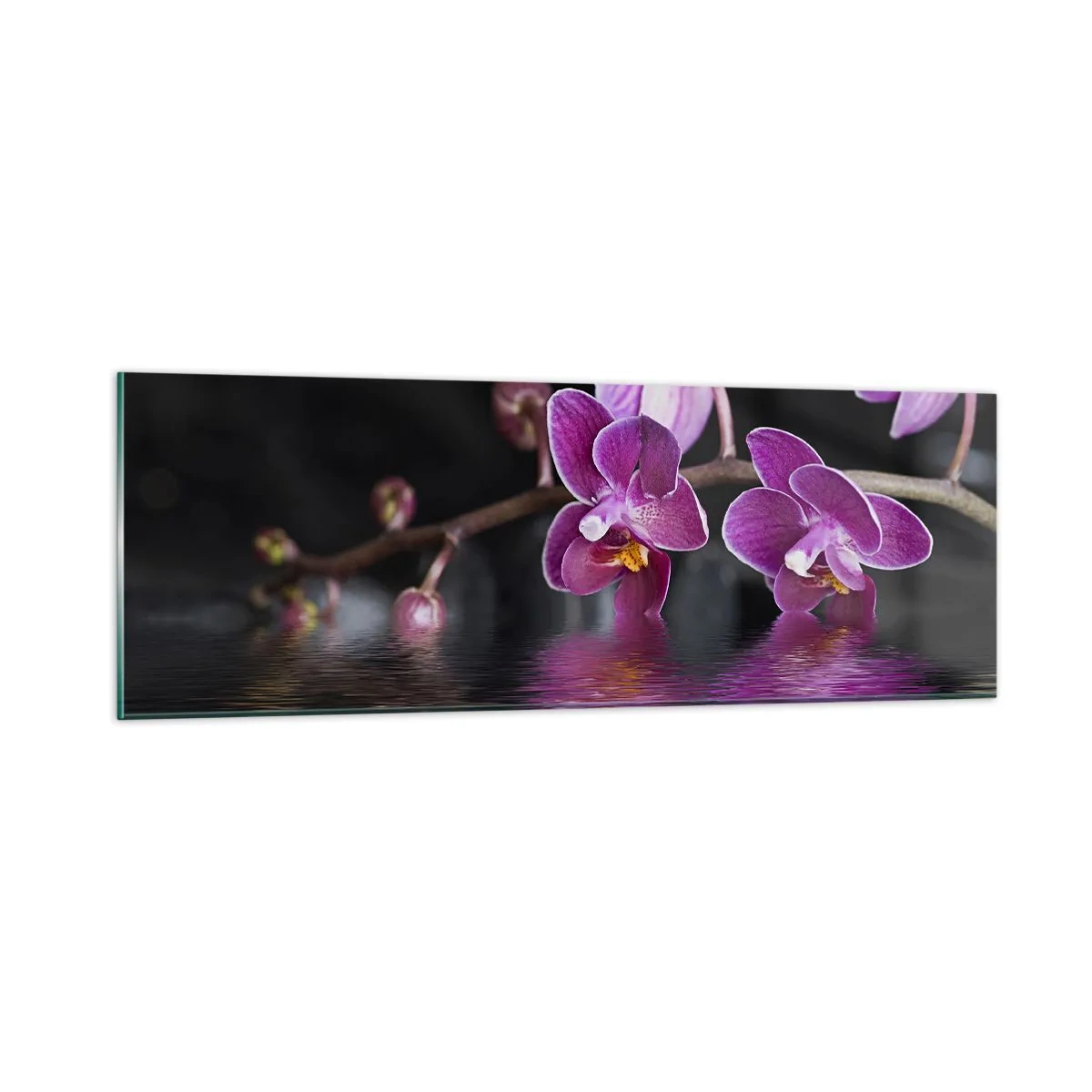 Cuadro sobre vidrio - Impresiones sobre Vidrio - Un reflejo lila de la belleza - 90x30 cm