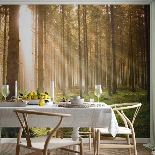 Fotomural Premium Canvas - Bosque de coníferas con rayos de sol brillando a través de los árboles. - 100x70cm - Los elfos se aproximan - Decoración de pared moderna para salón y dormitorio ARTTOR