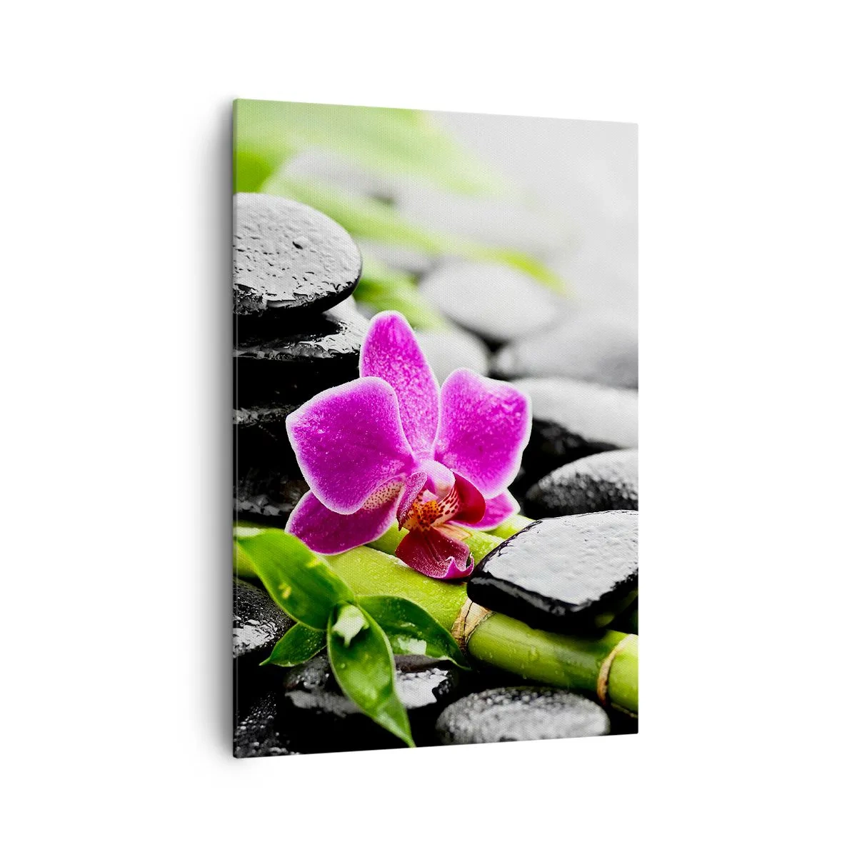 Cuadro sobre lienzo - Impresión de Imagen - Orquídea morada, piedras negras y bambú en una composición tranquila. - 70x100cm - En equilibrio pacífico - Decoración de pared moderna para salón y dormitorio ARTTOR