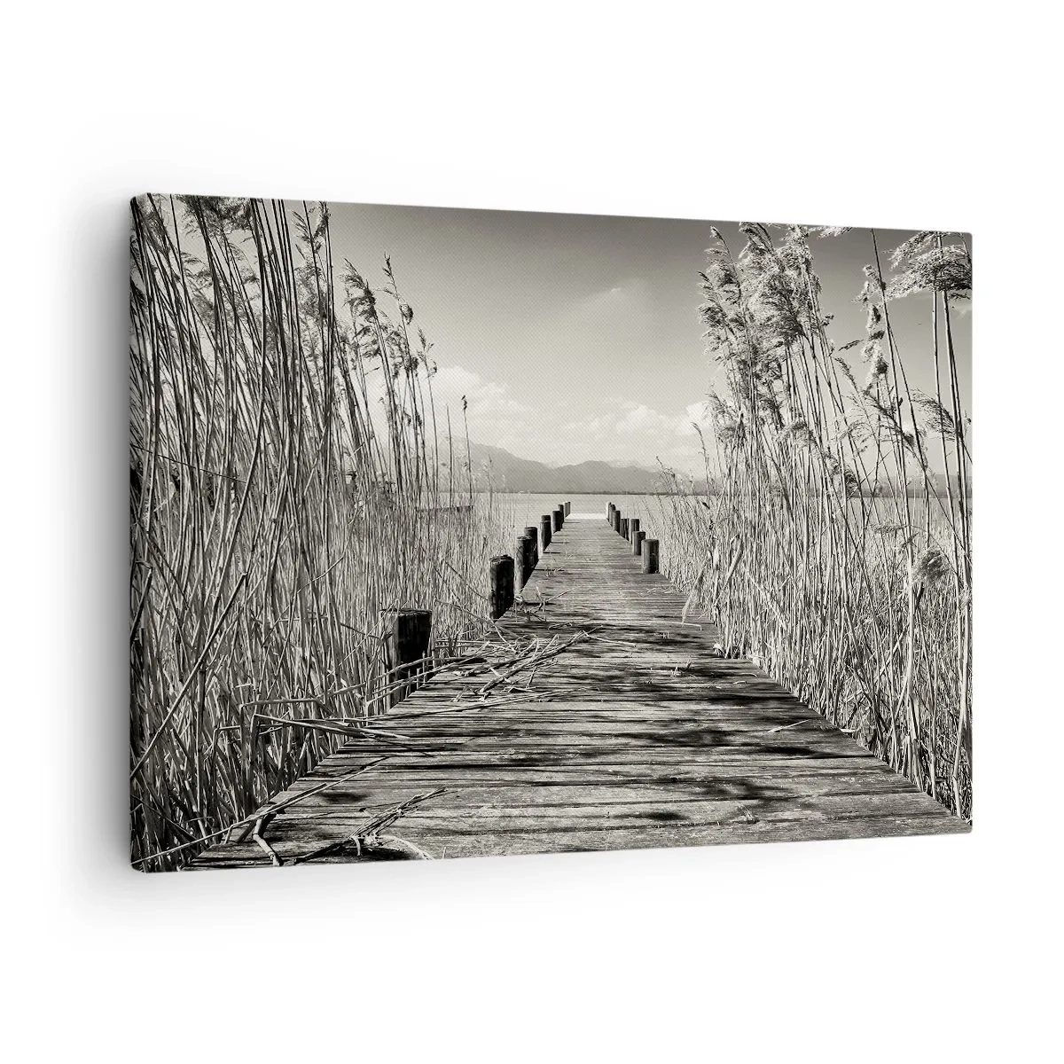 Cuadro sobre lienzo - Impresión de Imagen - Un embarcadero de madera entre hierbas altas sobre un lago de tonos sepia. - 70x50cm - En la quietud de los juncos - Decoración de pared moderna para salón y dormitorio ARTTOR