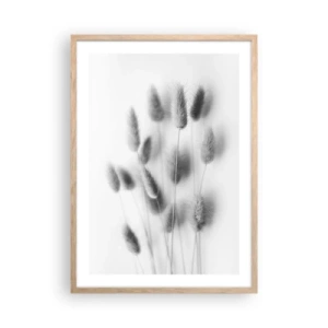 Póster en marco roble claro - Esponjas naturales - 50x70 cm