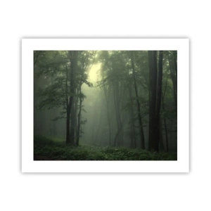 Póster - Antes de que se despierte el bosque - 50x40 cm