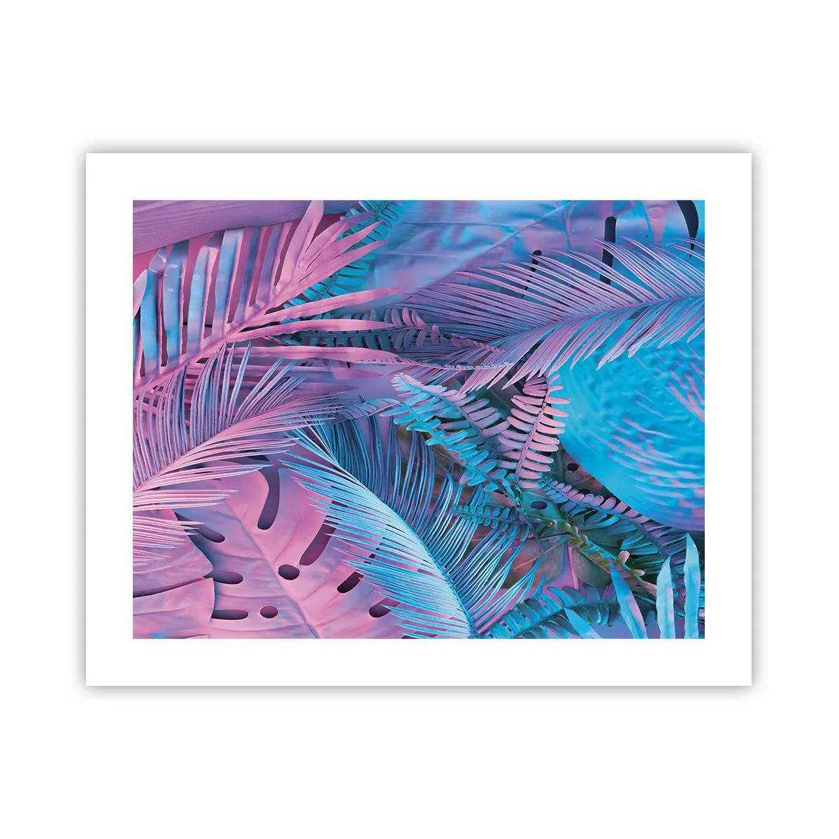 Póster - Trópicos en rosa y azul - 50x40 cm
