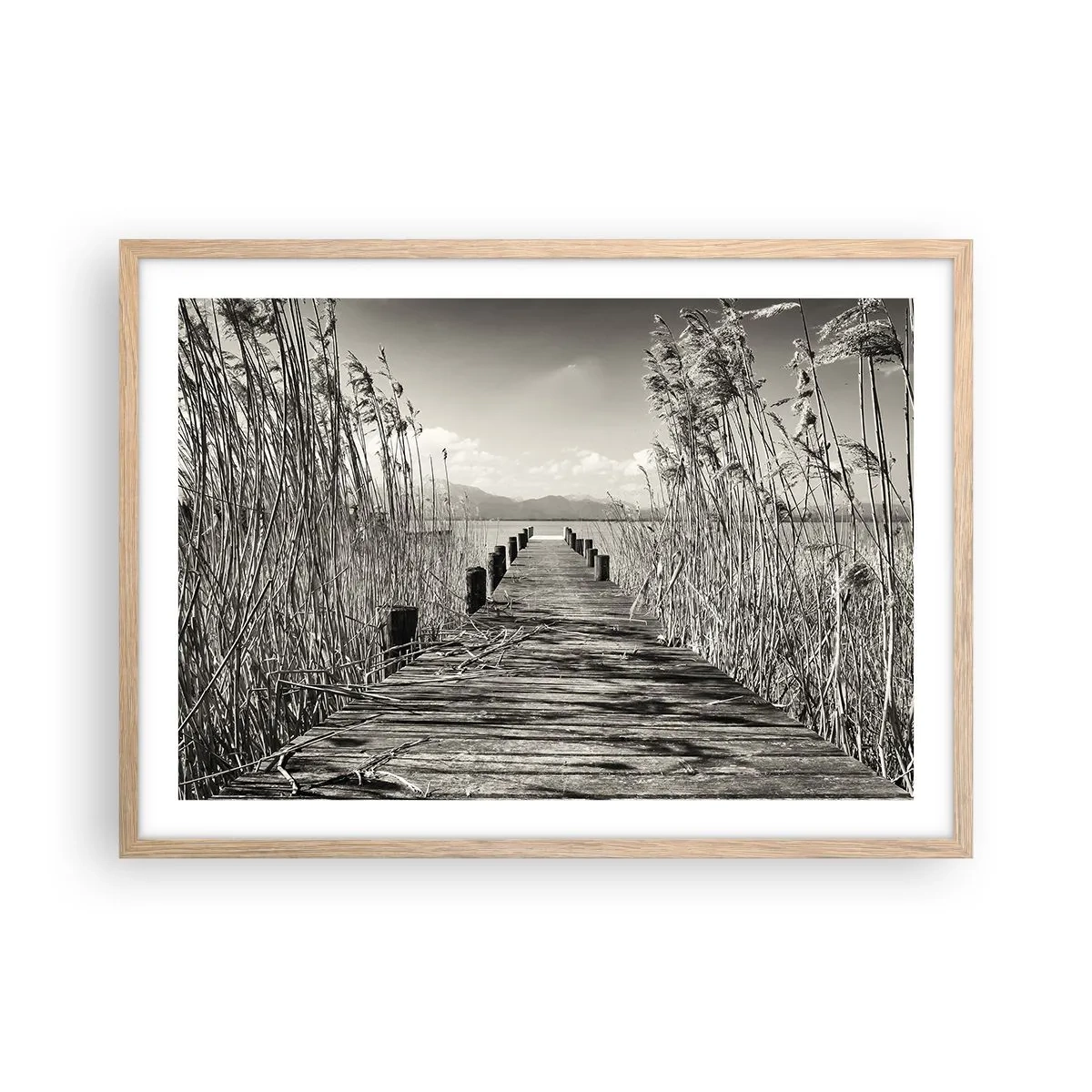 Póster en marco roble claro - En la quietud de los juncos - 70x50 cm