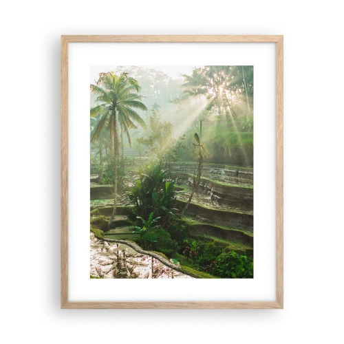 Póster en marco roble claro - Crecer bajo el sol - 40x50 cm