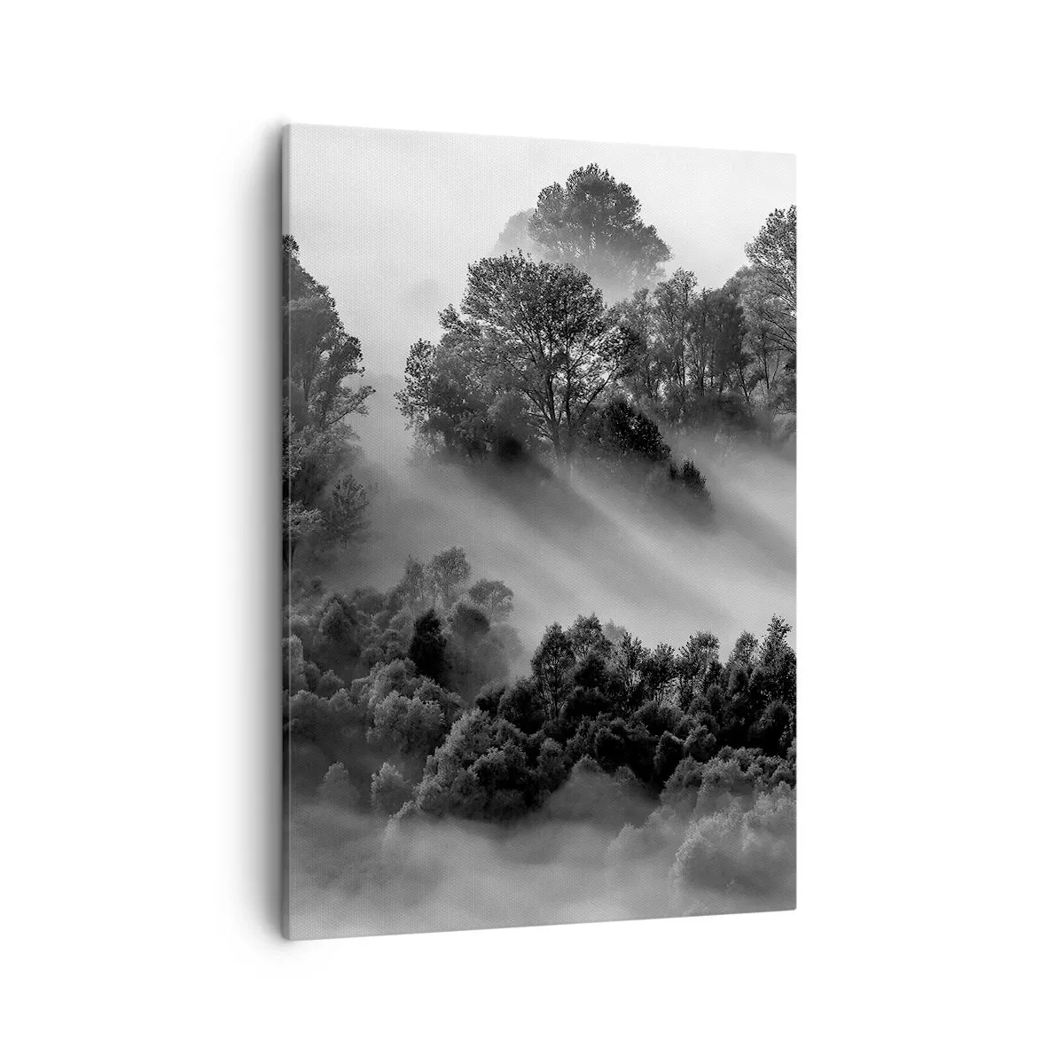 Cuadro sobre lienzo - Impresión de Imagen - Paisaje forestal en blanco y negro en la niebla matutina - 50x70cm - Levantarse del sueño - Decoración de pared moderna para salón y dormitorio ARTTOR
