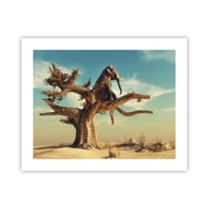 Póster - Un nuevo punto de vista - 50x40 cm