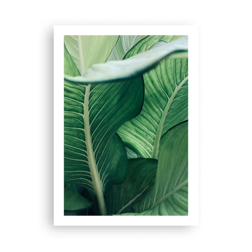 Póster - Primer plano de las hojas verdes de una planta. - 50x70cm - Vida intensamente verde - Decoración de pared moderna para salón y dormitorio ARTTOR