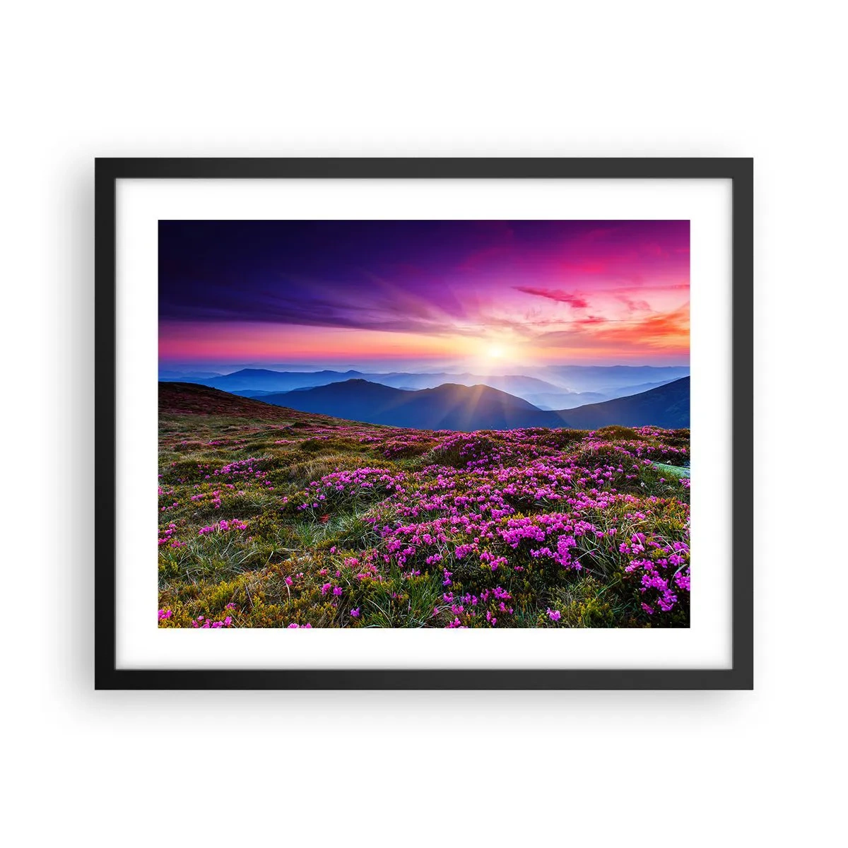 Póster en marco negro - Dulce aroma a frescura - 50x40 cm
