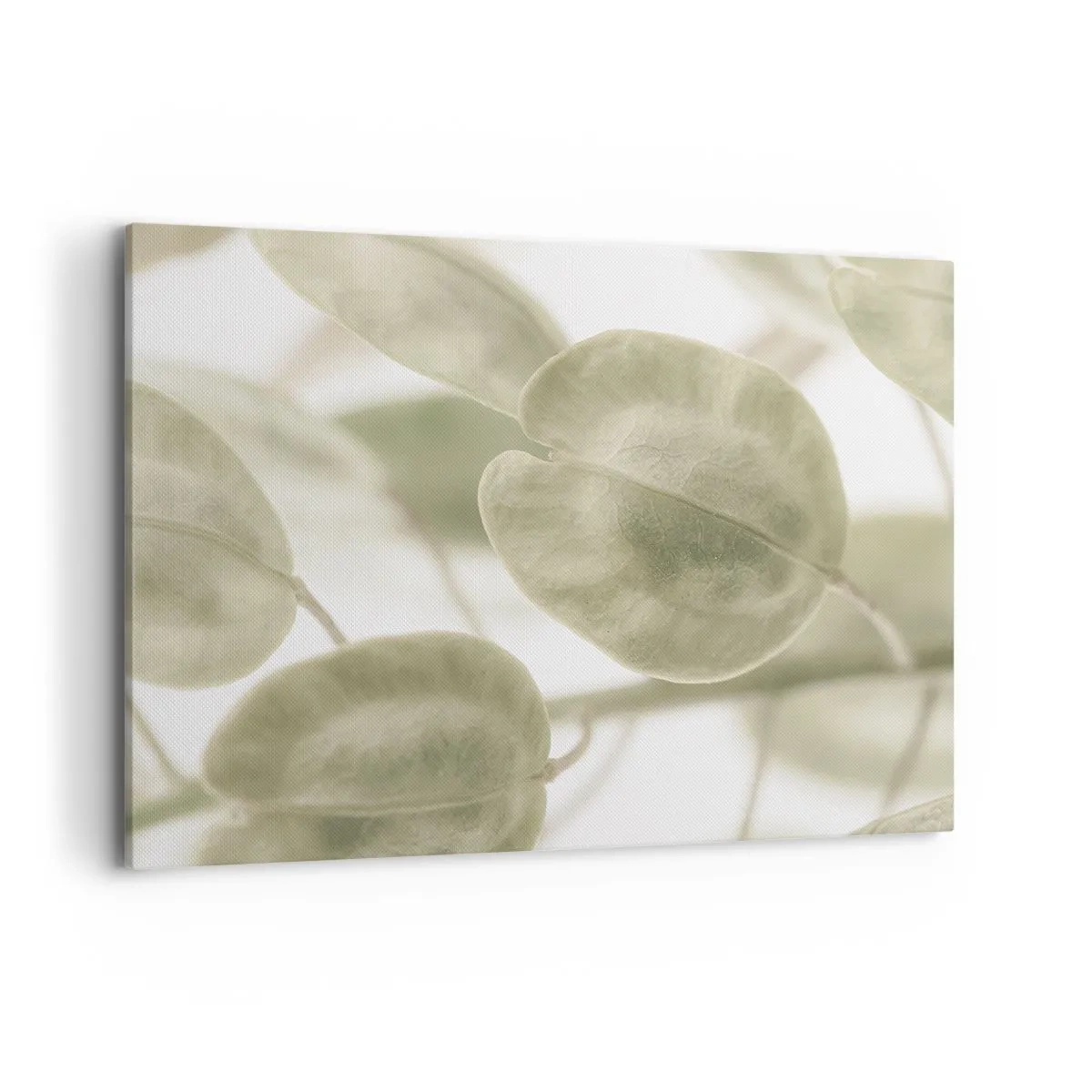 Cuadro sobre lienzo - Impresión de Imagen - Una delicada pintura de hojas en tonos pastel de verde sobre un fondo claro. - 100x70cm - Al principio de los tiempos había hojas... - Decoración de pared moderna para salón y dormitorio ARTTOR