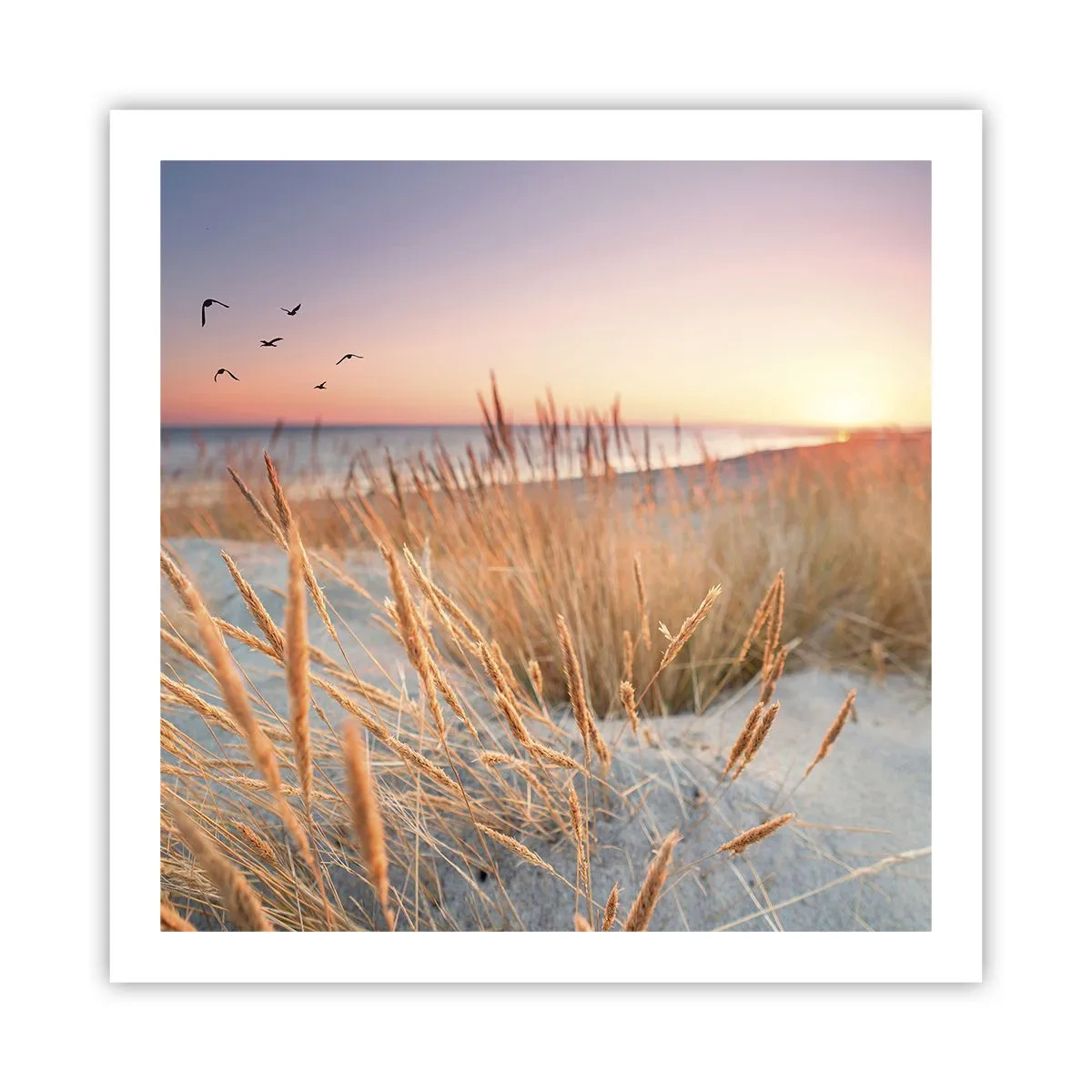 Póster - Dulce nana del Báltico - 60x60 cm