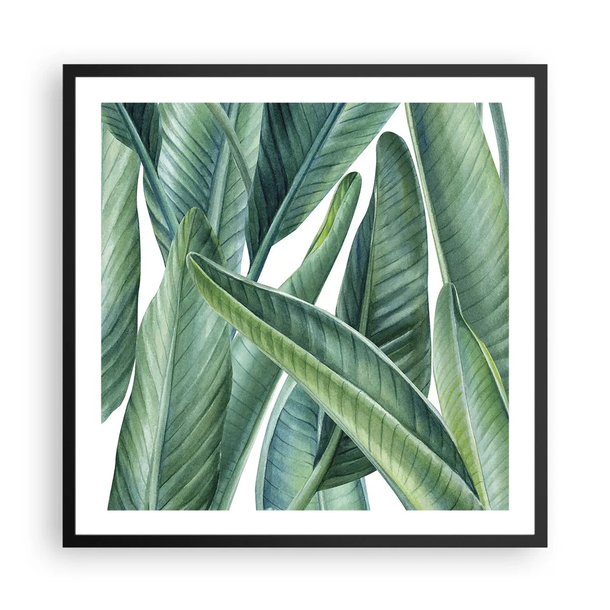 Póster en marco negro - Vegetación en estado puro - 60x60 cm