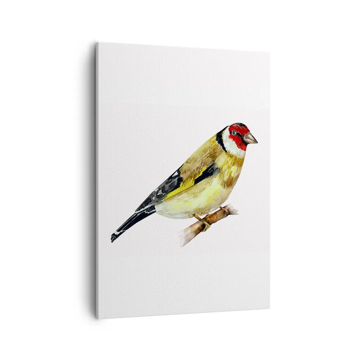 Cuadro sobre lienzo - Impresión de Imagen - Un pájaro con la cabeza roja en una rama. - 50x70cm - Retrato de pájaro - Decoración de pared moderna para salón y dormitorio ARTTOR