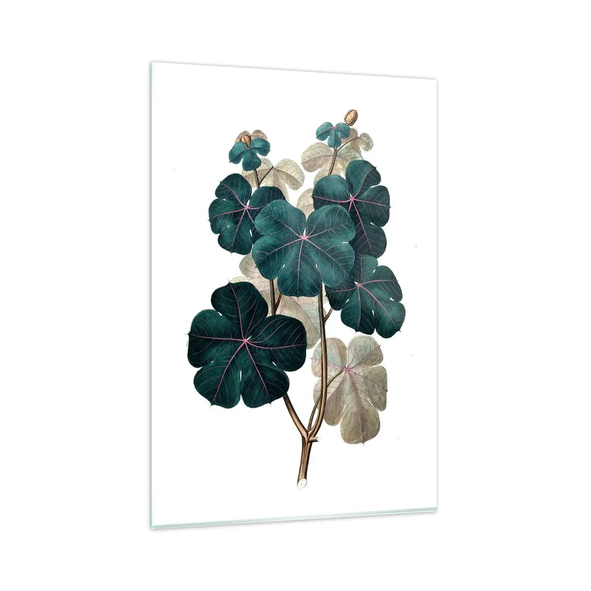 Cuadro sobre vidrio - Impresiones sobre Vidrio - Ilustración botánica con hojas en tonos verdes y beige. - 80x120cm - De un viejo herbario - Decoración de pared moderna para salón y dormitorio ARTTOR