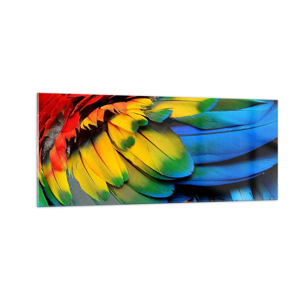 Cuadro sobre vidrio - Impresiones sobre Vidrio - Ave del paraíso - 100x40 cm