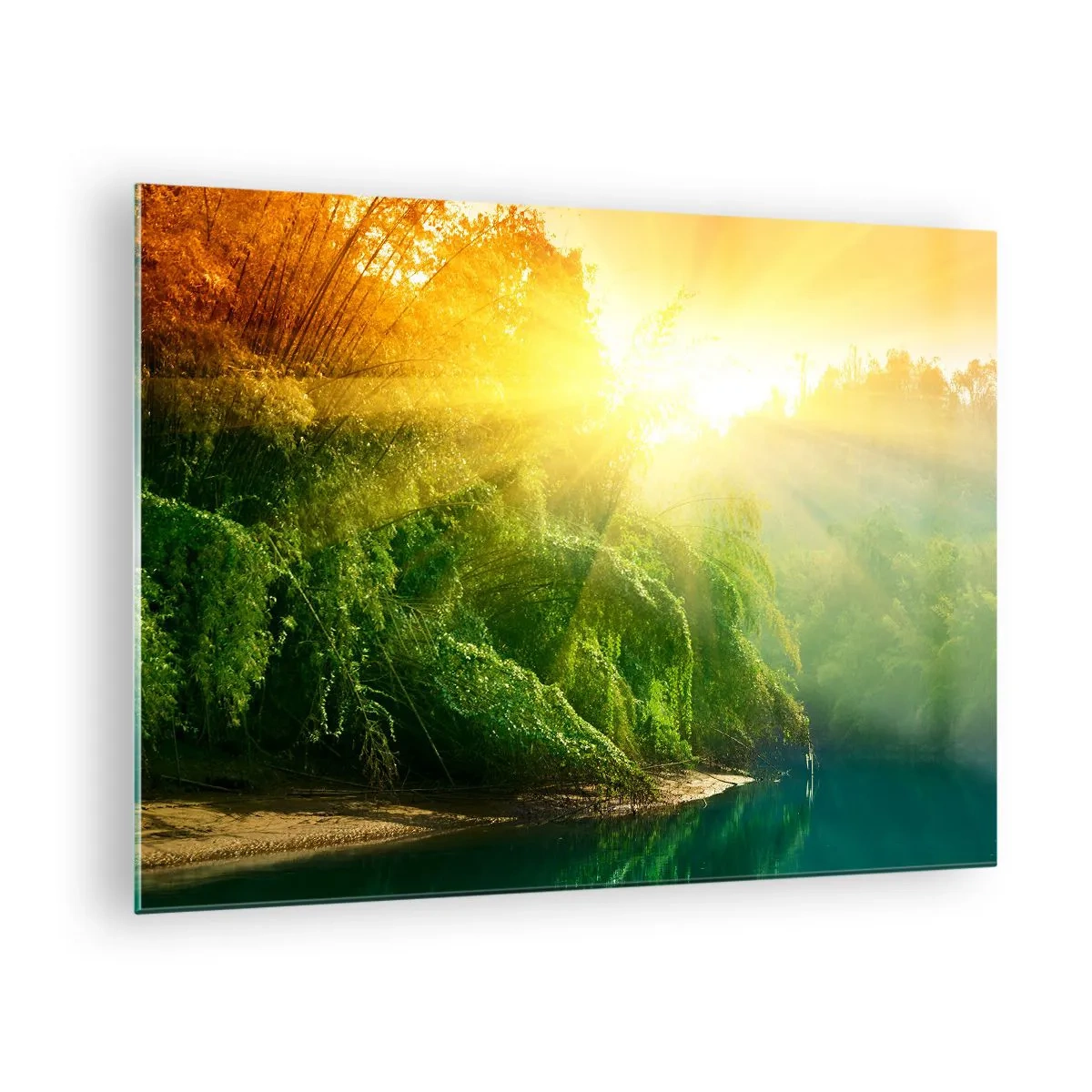 Cuadro sobre vidrio - Impresiones sobre Vidrio - Rayos de sol sobre la vegetación verde junto al río. - 70x50cm - Ahogarse en el sol y la sombra - Decoración de pared moderna para salón y dormitorio ARTTOR