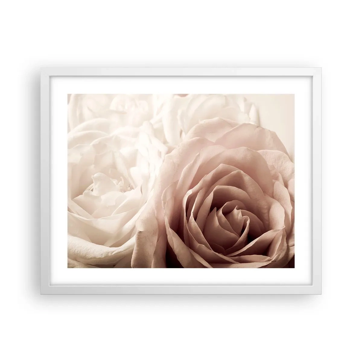 Póster en marco blanco - En el corazón de una rosa - 50x40 cm