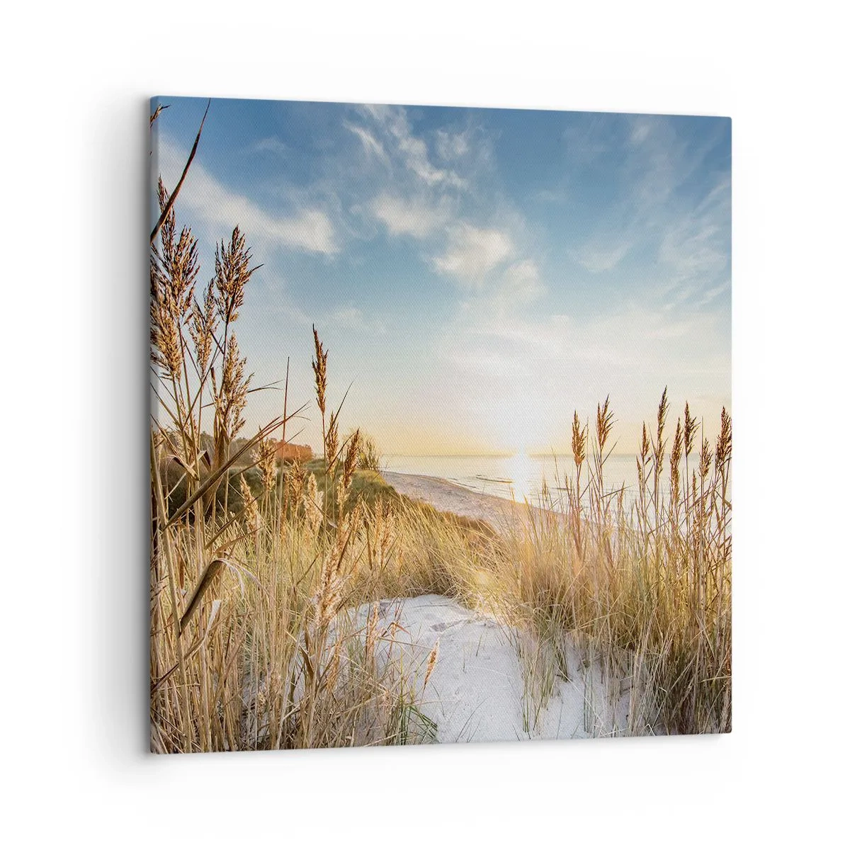 Cuadro sobre lienzo - Impresión de Imagen - Playa del norte - 50x50 cm