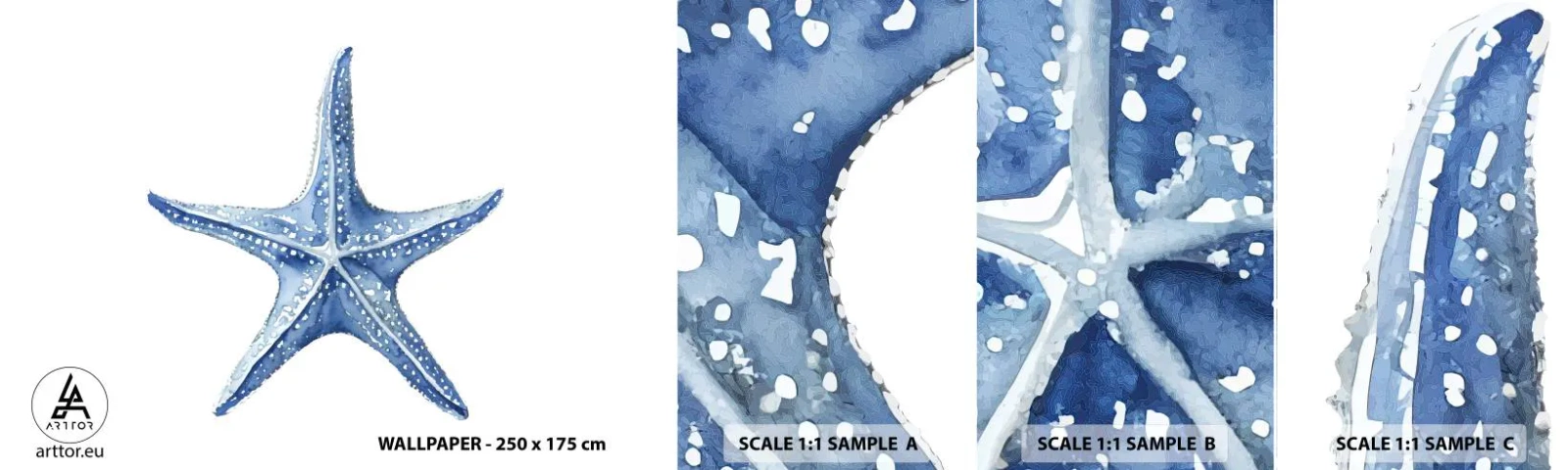 Muestra De Fotomural Standard Eco - Estrella de mar - Estrella de mar, Playa, Arrecife de coral - 100x30 cm