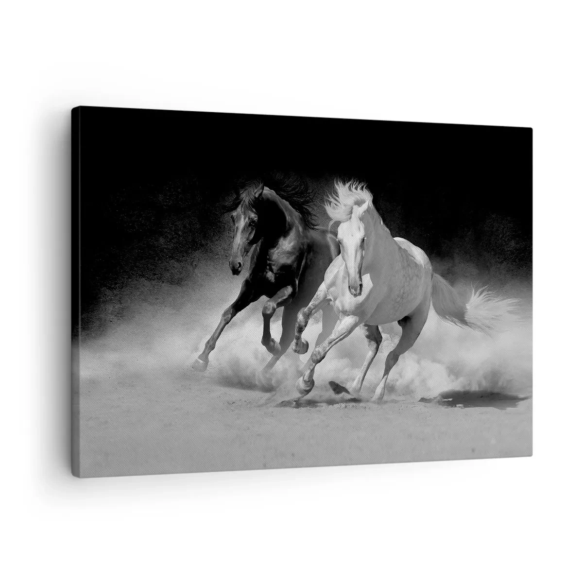 Cuadro sobre lienzo - Impresión de Imagen - Caballos corriendo en blanco y negro - 70x50cm - El galope de la libertad - Decoración de pared moderna para salón y dormitorio ARTTOR