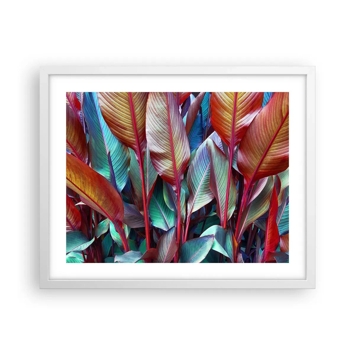 Póster en marco blanco - Un matorral de colores - 50x40 cm