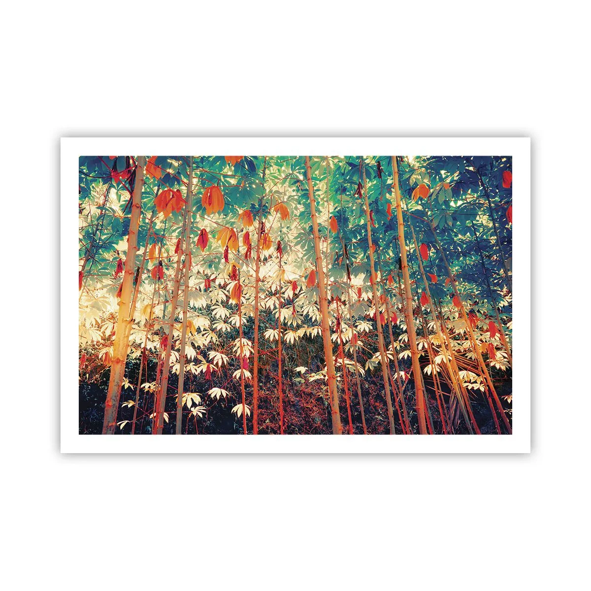 Póster - La vida secreta de las hojas - 91x61 cm