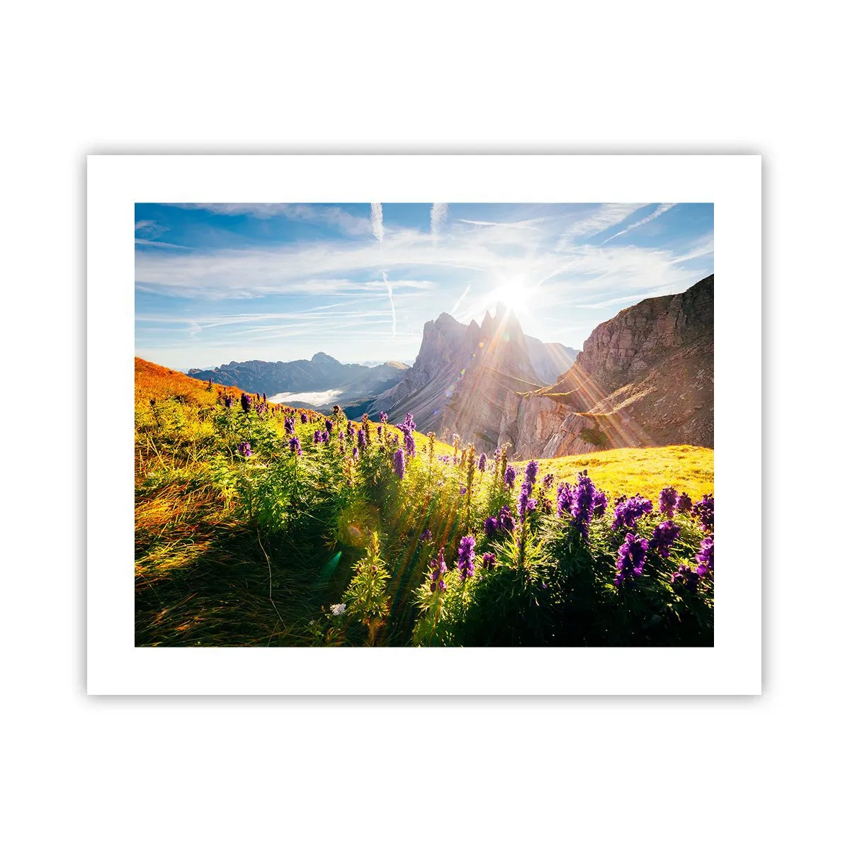 Póster - La vida secreta de las hierbas - 50x40 cm