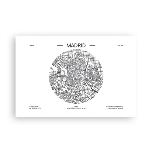 Póster - Anatomía de Madrid - 91x61 cm