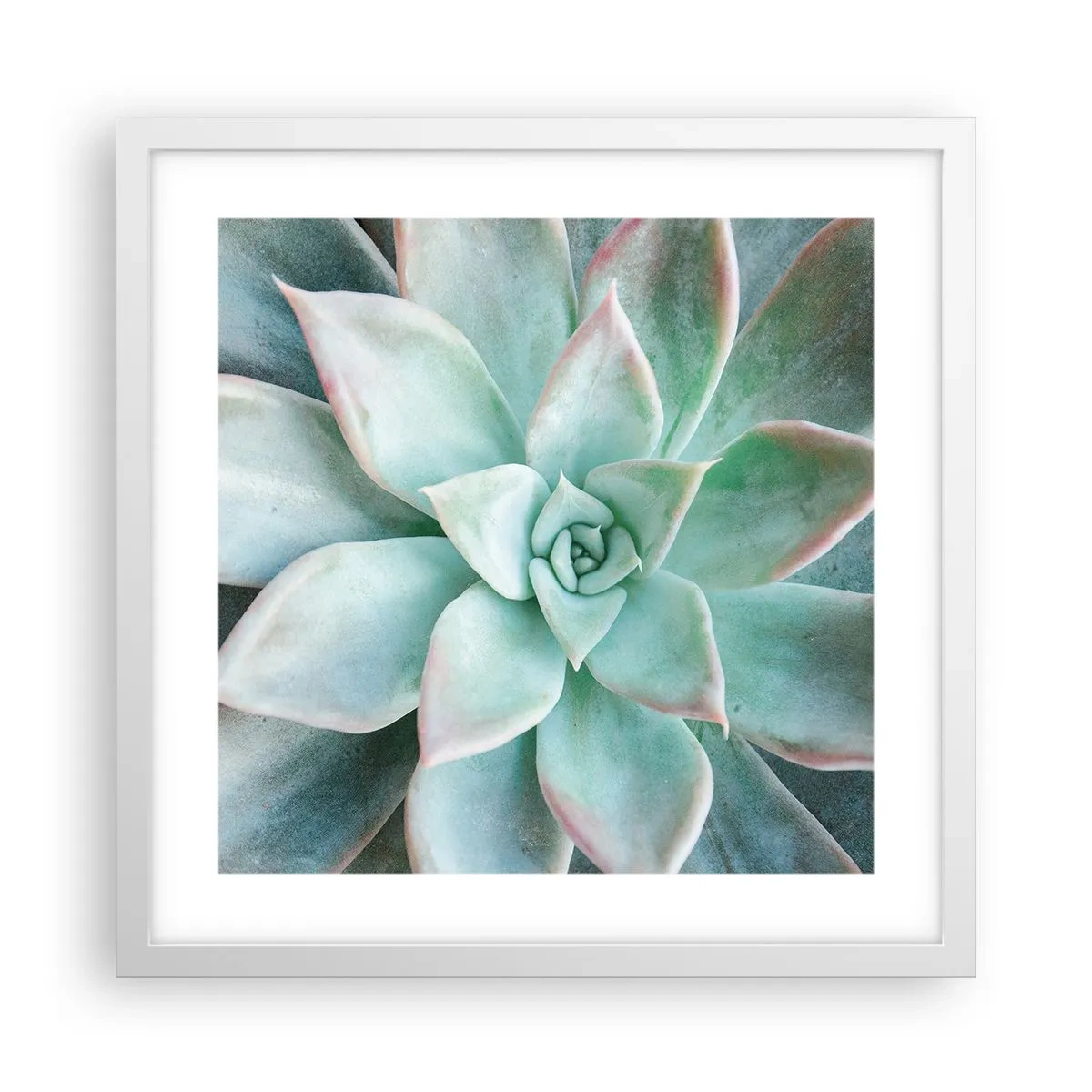 Póster en marco blanco - El corazón del desierto - 40x40 cm