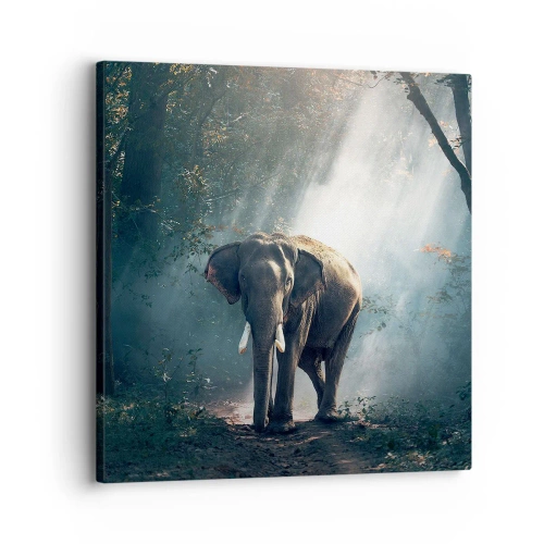 Cuadro sobre lienzo - Impresión de Imagen - Un paseo tranquilo - 30x30 cm