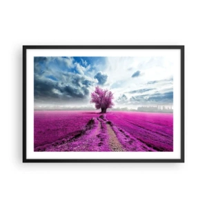 Póster en marco negro - Un árbol solitario en un campo de un tono rosa intenso. - 70x50cm - El brezal - un encanto - Decoración de pared moderna para salón y dormitorio ARTTOR