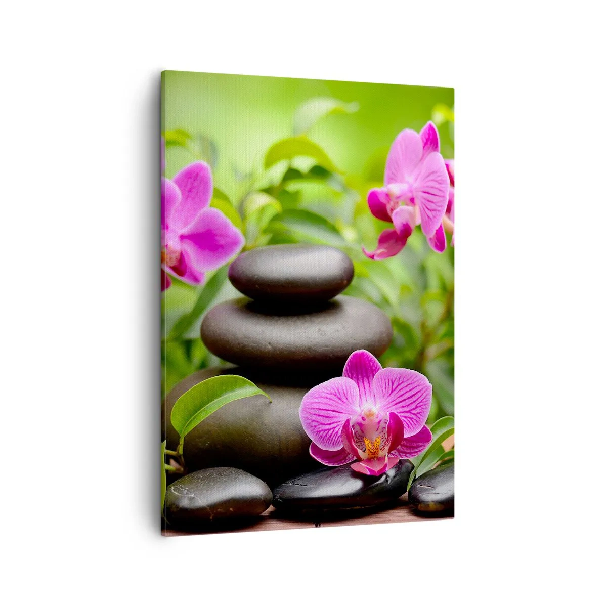 Cuadro sobre lienzo - Impresión de Imagen - Orquídeas rosas con piedras sobre un fondo verde. - 50x70cm - Una pirámide de paz - Decoración de pared moderna para salón y dormitorio ARTTOR