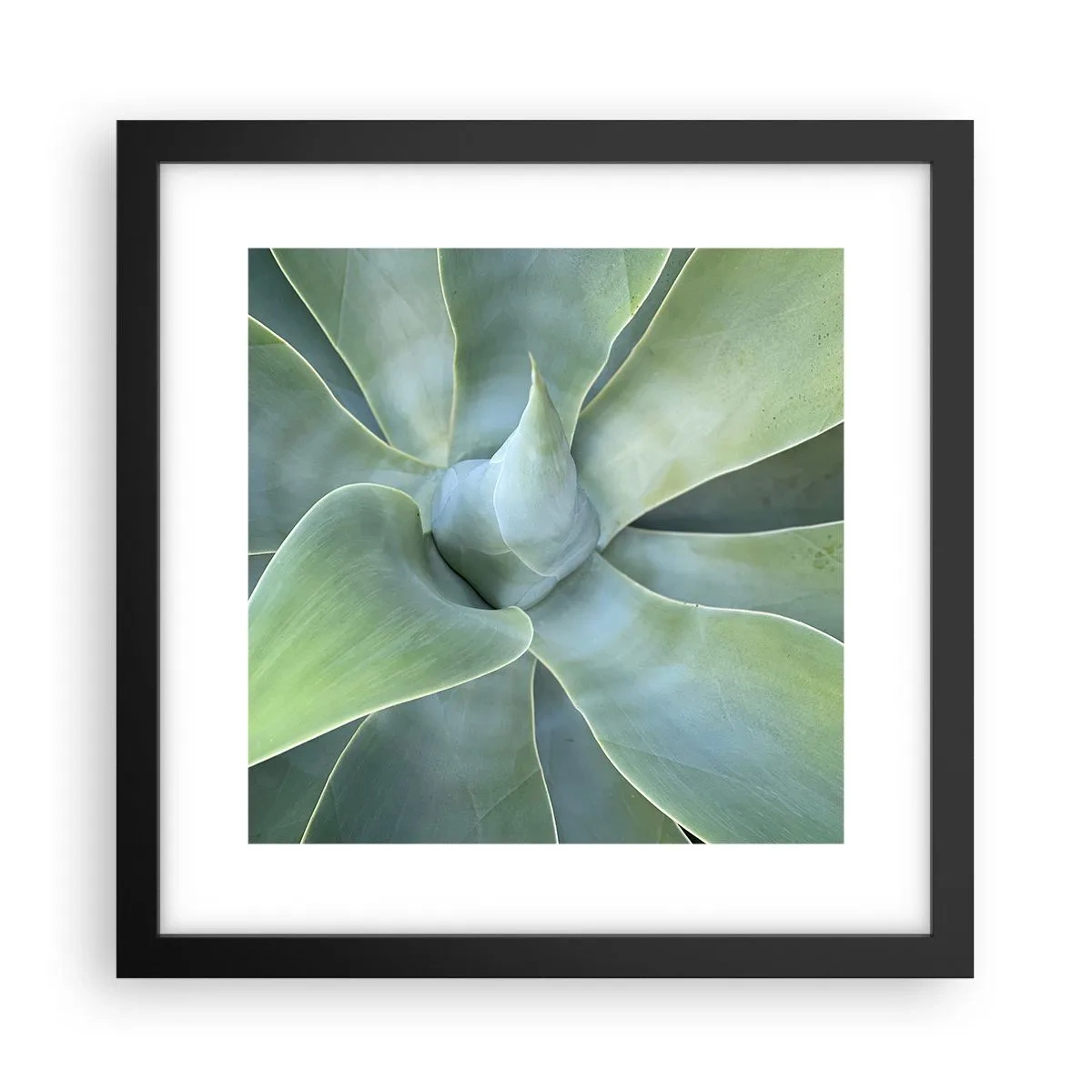 Póster en marco negro - El nacimiento del verde - 30x30 cm