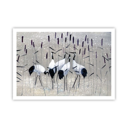 Póster - Garzas en la hierba contra un fondo tranquilo - 100x70cm - Entre los suyos - Decoración de pared moderna para salón y dormitorio ARTTOR