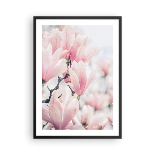 Póster en marco negro - Magnolias rosas en un sutil entorno primaveral. - 50x70cm - La perfección de la sutileza - Decoración de pared moderna para salón y dormitorio ARTTOR