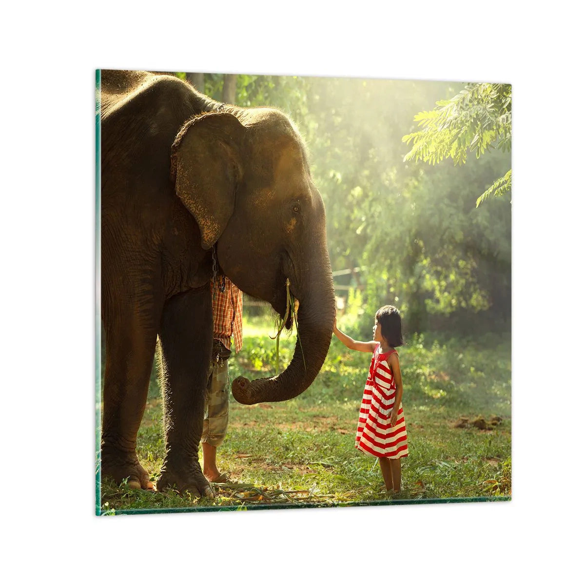 Cuadro sobre vidrio - Impresiones sobre Vidrio - El poder de la amistad - 60x60 cm