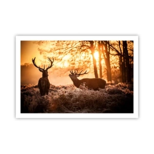 Póster - El sueño de un cazador - 91x61 cm