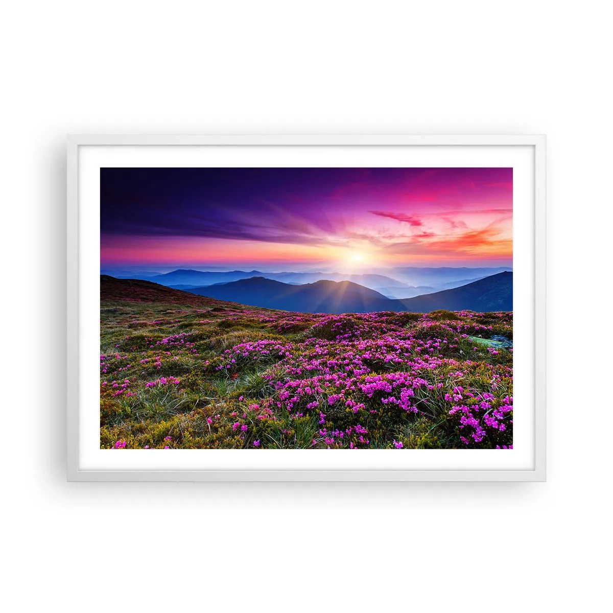 Póster en marco blanco - Dulce aroma a frescura - 70x50 cm