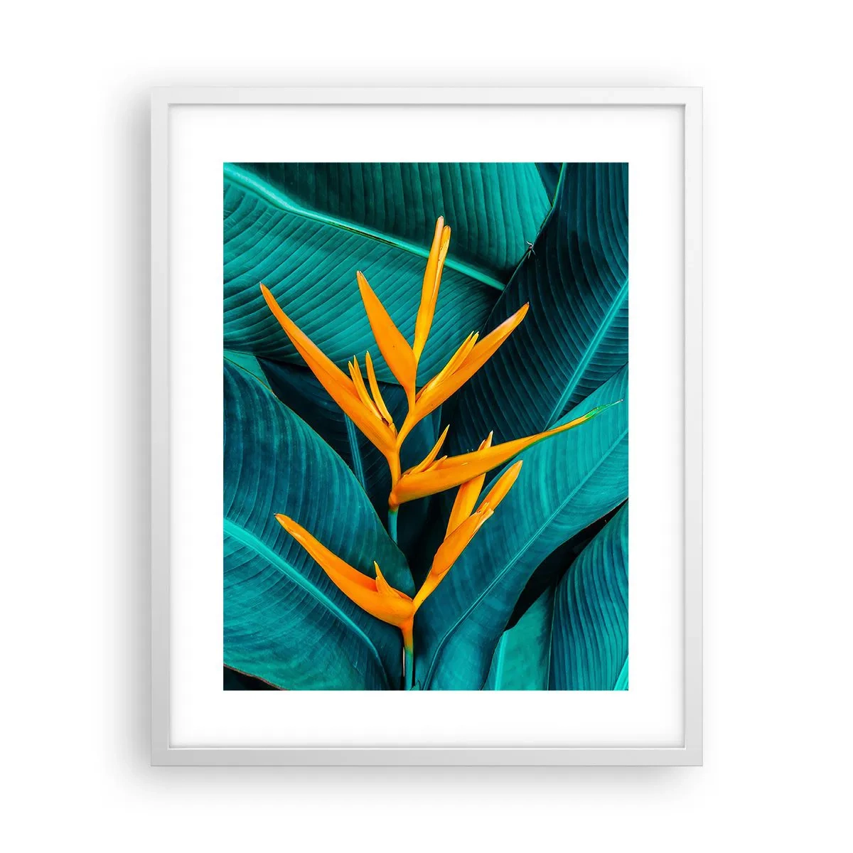 Póster en marco blanco - Flor del Edén - 40x50 cm